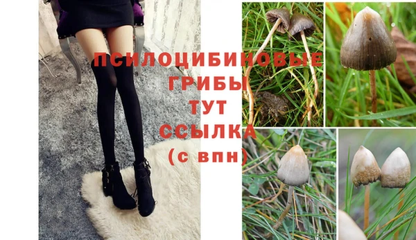 мдма Пролетарск