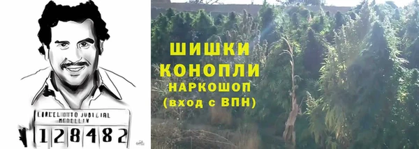 твердый Дегтярск