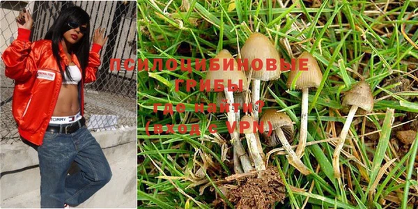 молекула духа Дедовск