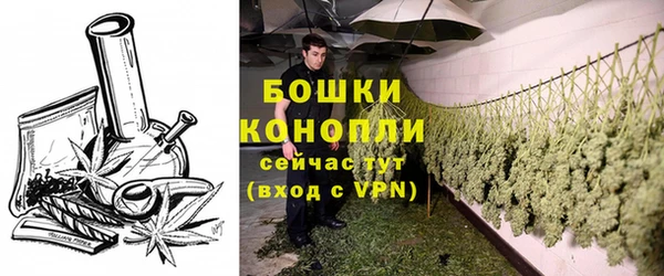 молекула духа Дедовск