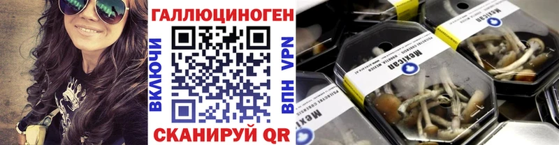 Псилоцибиновые грибы Psilocybe что такое Любим