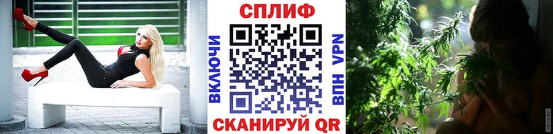 Канабис ГИДРОПОН Любим